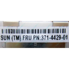 Серверная память SUN (FRU PN 371-4429-01) 4096Mb (4Gb) DDR3 ECC в Ульяновске, память для сервера SUN FRU P/N 371-4429-01 (Ульяновск)