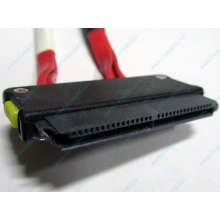 SATA-кабель для корзины HDD HP 451782-001 459190-001 для HP ML310 G5 (Ульяновск)