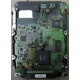 Жесткий диск 18.4Gb Quantum Atlas 10K III U160 SCSI (Ульяновск)
