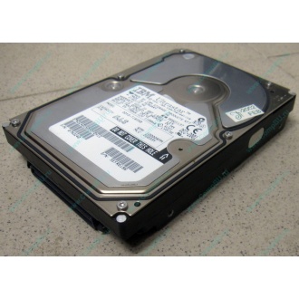 Жесткий диск 18.2Gb IBM Ultrastar DDYS-T18350 Ultra3 SCSI (Ульяновск)