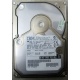 Жесткий диск 18.2Gb IBM Ultrastar DDYS-T18350 Ultra3 SCSI (Ульяновск)