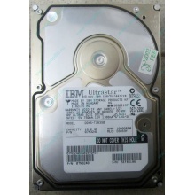 Жесткий диск 18.2Gb IBM Ultrastar DDYS-T18350 Ultra3 SCSI (Ульяновск)