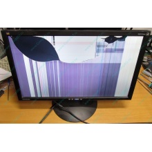 ViewSonic VA2413WM-2 разбитая матрица (Ульяновск)