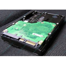 Жесткий диск 600Gb 15k Dell 9FN066-008 6G SAS ( Seagate Cheetach ST3600057SS 15K.7) - Ульяновск