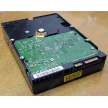 Б/У жёсткий диск 400Gb WD WD4000YR Caviar RE2 7200 rpm SATA  (Ульяновск)