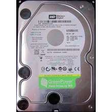 Б/У жёсткий диск 500Gb Western Digital WD5000AVVS (WD AV-GP 500 GB) 5400 rpm SATA (Ульяновск)