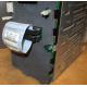 HP 365664-001 кабель SCSI для корзины 373108-001 / 359719-001 HP ML370G4 (Ульяновск)