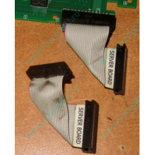 6017B0045701 Шлейф 24 pin для Intel C74974-401 T0043401-B01 корпуса SR2400 (Ульяновск)