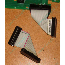 6017B0045701 Шлейф 24 pin для Intel C74974-401 T0043401-B01 корпуса SR2400 (Ульяновск)