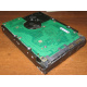 Жесткий диск 300Gb 15k Seagate Cheetach ST3300656SS 15K.6 Dell 9CH066-050 6G SAS (Ульяновск)